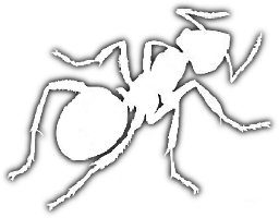 Erradicadores de Hormigas